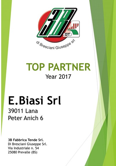 Urkunde - 3B Top Partner 2017